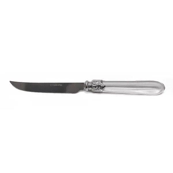 Conjunto 6 Facas Lyor P/ Churrasco Inox Destiny Trans - 23cm - Imagem 2