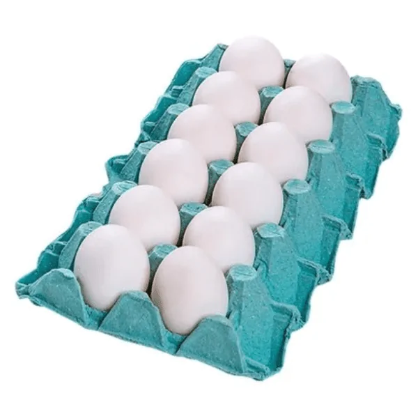 Ovo Branco Grande Nikkei - 12und-1 Ovo Branco Tokawa Tipo Grande - 12und - Imagem 1