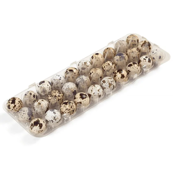 Ovos de Codorna Kazama - 30und - Imagem 1