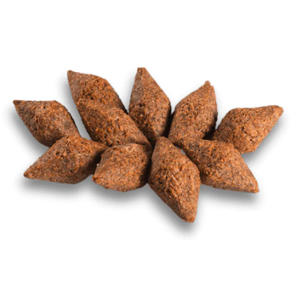 Kibe Kimassa Tradicional - 300gr Kibe Kimassa Tradicional - 300gr - Imagem 1