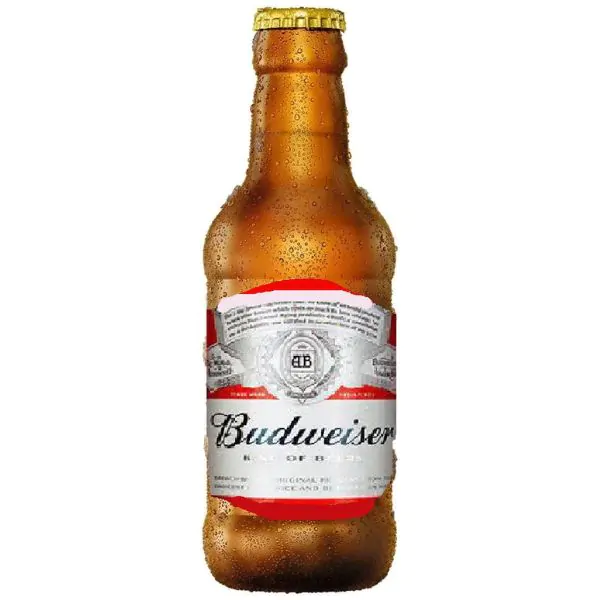 Romarinho Budweiser 300ml - 12und (Líquido) (cópia)